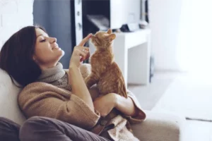 Cute Cat With Woman